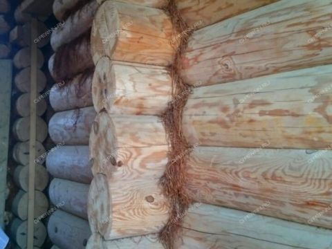 dom-derevnya-selyancevo-sokolskiy-gorodskoy-okrug фото