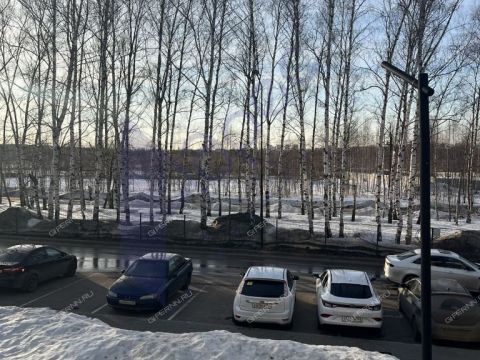 1-komnatnaya-poselok-kultura-kstovskiy-rayon фото