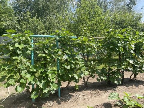 dom-snt-nadezhda фото