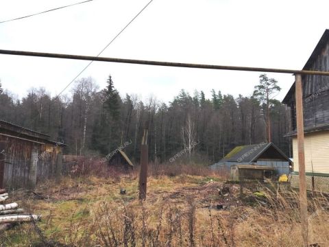 rizadeevskiy-sp-gorodskoy-okrug-vyksa фото