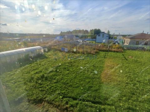 derevnya-gumnishhi-balahninskiy-municipalnyy-okrug фото