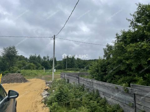 rabochiy-poselok-maloe-kozino-balahninskiy-municipalnyy-okrug фото
