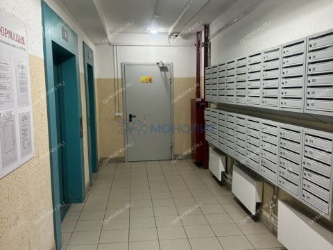1-komnatnaya-derevnya-afonino-kstovskiy-rayon фото