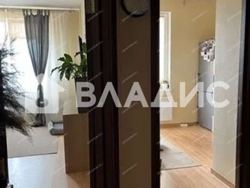 однокомнатная квартира на Русской улице улице дом 5 деревня Анкудиновка