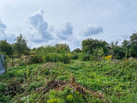 derevnya-hvatkovo-bogorodskiy-municipalnyy-okrug фото