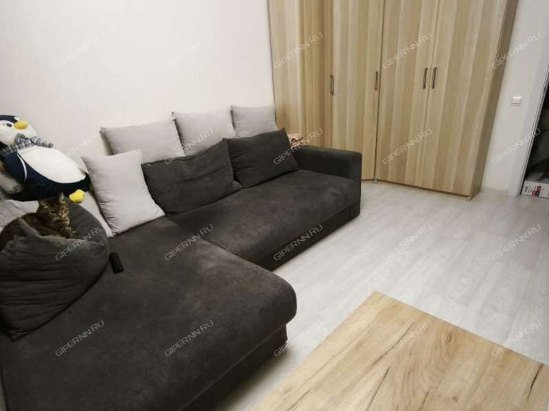 трёхкомнатная квартира на улице Бориса Видяева дом 23