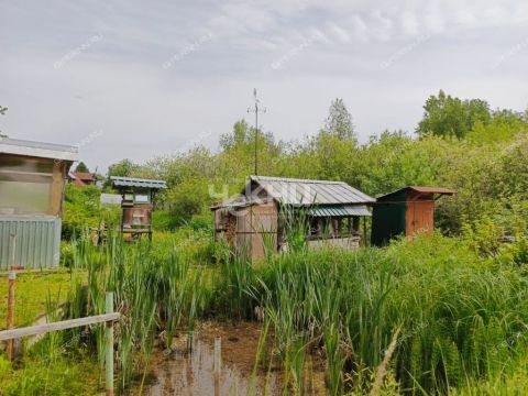 dom-derevnya-suharenki-gorodeckiy-rayon фото