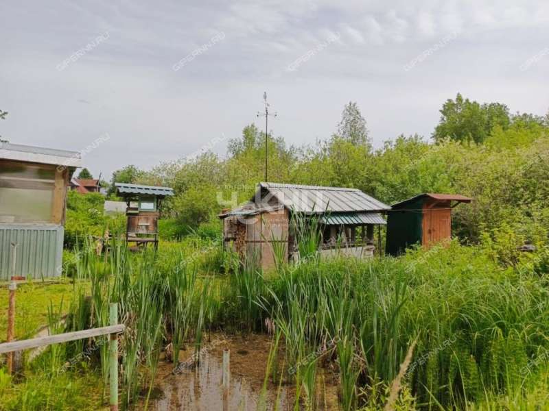 дом на Центральной улице деревня Сухаренки