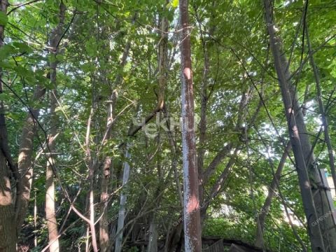 rabochiy-poselok-sokolskoe-sokolskiy-gorodskoy-okrug фото