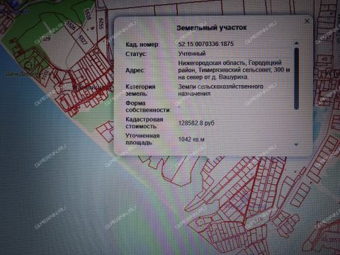 derevnya-vashuriha-gorodeckiy-rayon фото