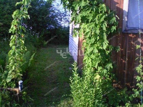 dacha-st-n12-yagodnoe-bogorodskiy-municipalnyy-okrug фото