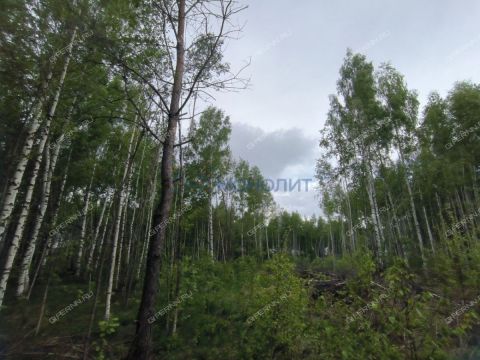 derevnya-besedy-gorodskoy-okrug-chkalovsk фото