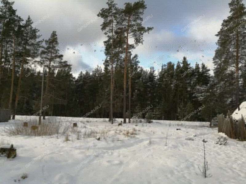 Поселок центральный володарский. Посёлок Центральный Нижегородская область Володарский. П Центральный Нижегородская. Нижний Новгород поселок Центральный. Поселок Центральный Нижегородская область фото.