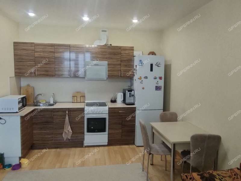 двухкомнатная квартира на Русской улице улице дом 5 деревня Анкудиновка