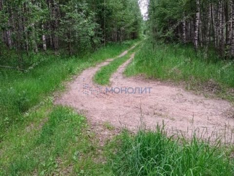 derevnya-filino-sokolskiy-gorodskoy-okrug фото
