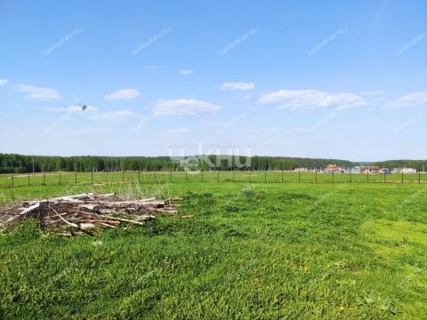 derevnya-mednikovo-gorodskoy-okrug-chkalovsk фото