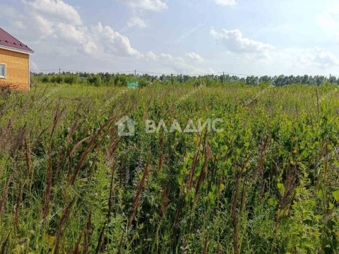 derevnya-krashovo-bogorodskiy-municipalnyy-okrug фото