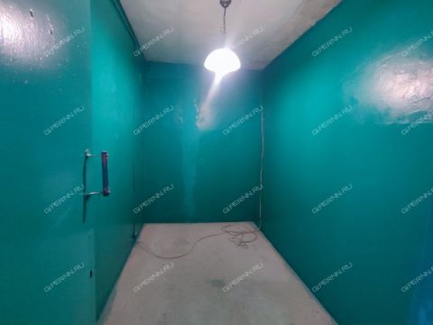 selo-sheloksha-kstovskiy-rayon фото