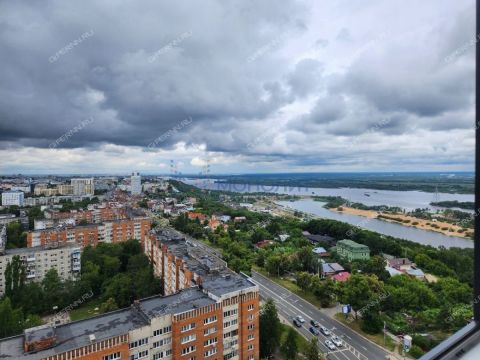 1-komnatnaya-ul-rodionova-d-19 фото