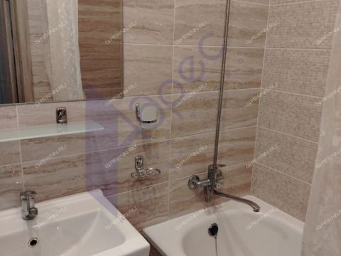 1-komnatnaya-ul-rodionova-d-178 фото