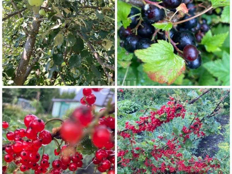 дом на Ново Луговая рабочий посёлок Большое Мурашкино