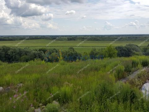 kottedzh-derevnya-rzhavka-kstovskiy-rayon фото