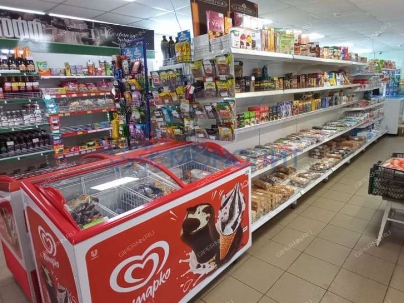 помещение под торговую площадь, недвижимость под общепит на улице Аллея Ильича город Павлово