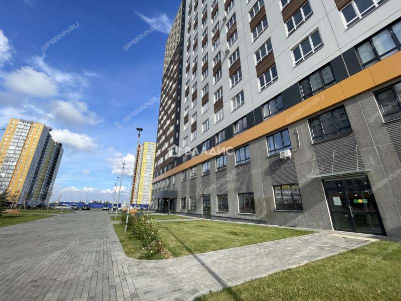 двухкомнатная квартира на Черкесской улице дом 15 деревня Анкудиновка