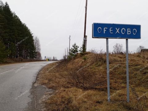 derevnya-orehovo-gorodskoy-okrug-bor фото