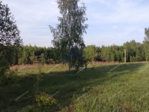 derevnya-mozgulino-gorodeckiy-rayon фото