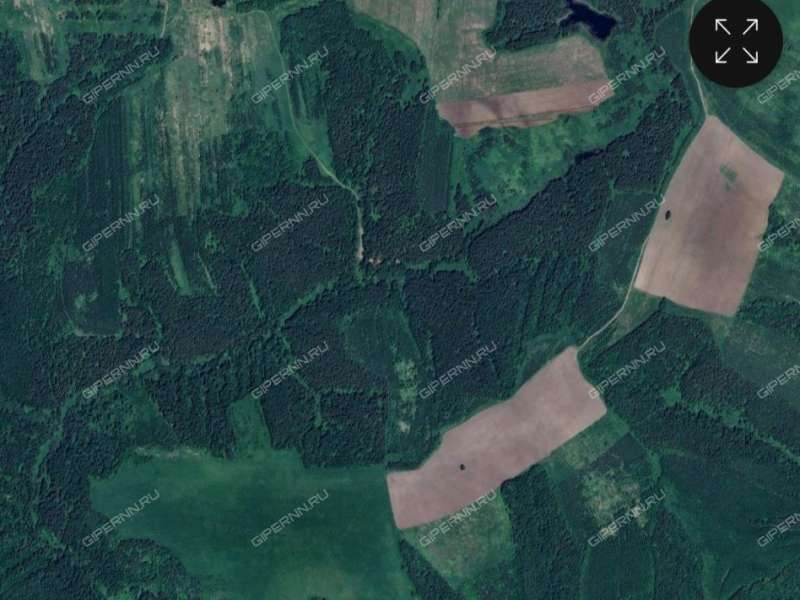 земельный участок под сельхоз назначение в Шатковском районе Нижегородской области