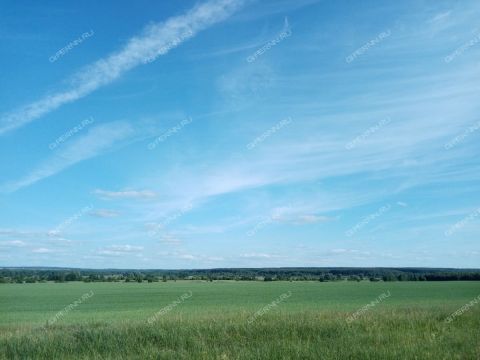 dom-selo-laksha-bogorodskiy-municipalnyy-okrug фото