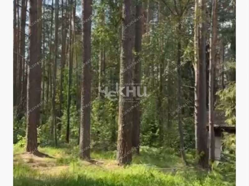 земельный участок 11 соток деревня Зуево