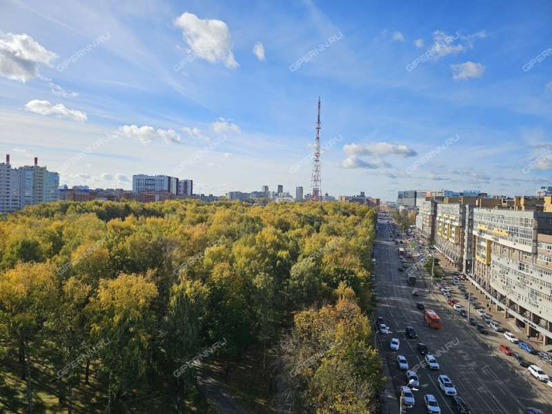 трёхкомнатная квартира на улице Белинского дом 11