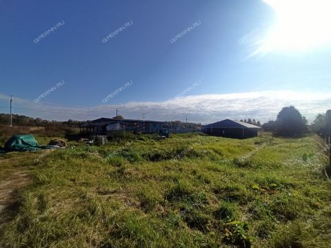 derevnya-polec-bogorodskiy-municipalnyy-okrug фото