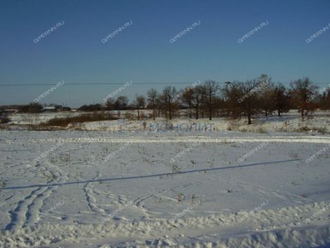 derevnya-burcevo-bogorodskiy-municipalnyy-okrug фото