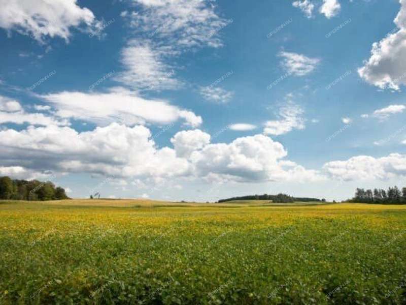 земельный участок 10 соток деревня Охотино