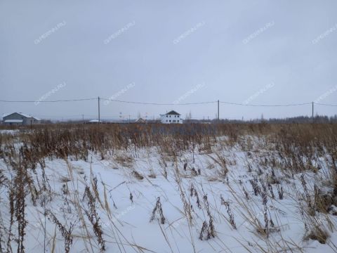 kottedzhnyy-poselok-burcevo-ter-bogorodskiy-municipalnyy-okrug фото