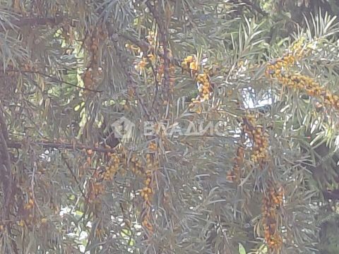 dom-rabochiy-poselok-vyezdnoe-arzamasskiy-rayon фото