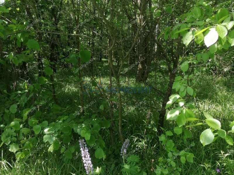 земельный участок 102 сотки - деревня Кожевенное