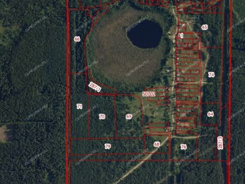 poselok-ozernyy-gorodskoy-okrug-vyksa фото