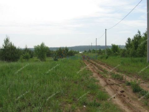 derevnya-inyutino-bogorodskiy-municipalnyy-okrug фото