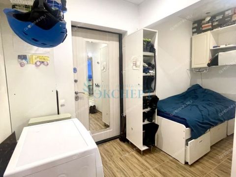 1-komnatnaya-derevnya-afonino-kstovskiy-rayon фото