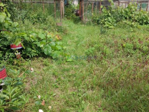 dacha-snt-tyulpan-derevnya-lapshiha-dalnekonstantinovskiy-rayon фото