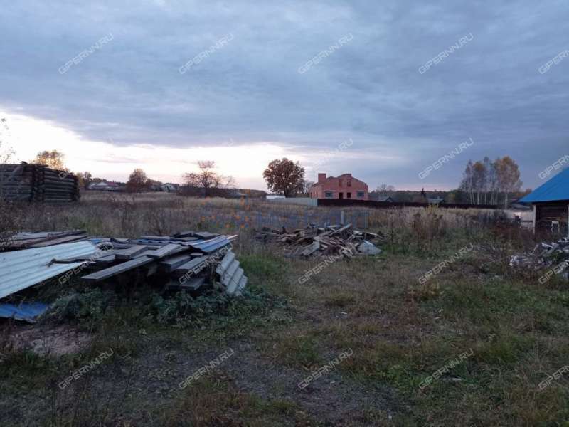 дом на Восточной улице село Лесуново