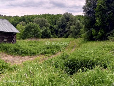 derevnya-shumilovo-bogorodskiy-municipalnyy-okrug фото