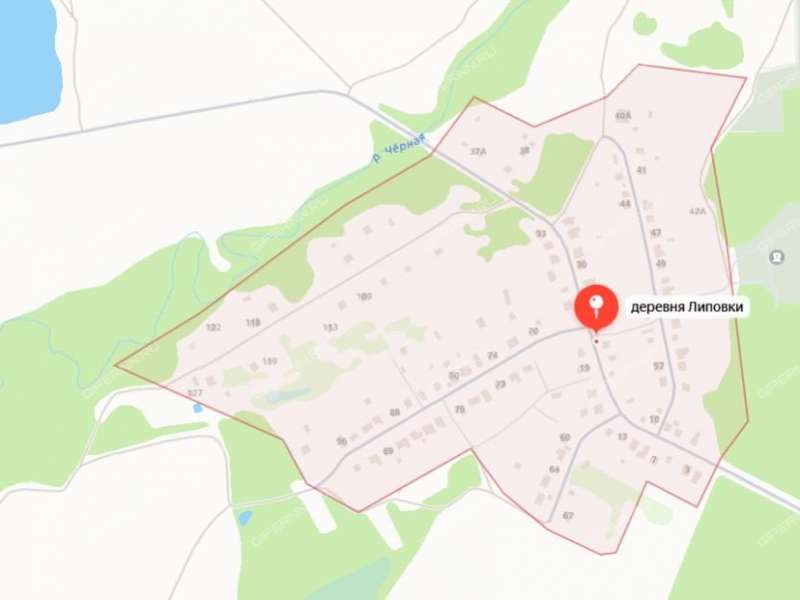 земельный участок 10 соток деревня Липовки