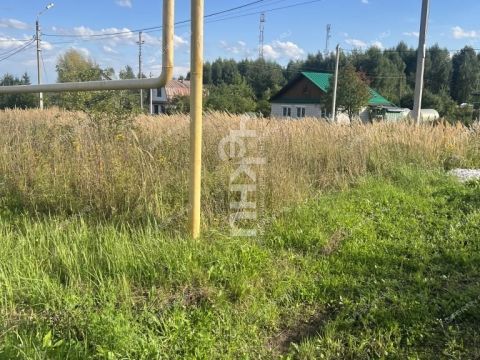 derevnya-shumilovo-bogorodskiy-municipalnyy-okrug фото