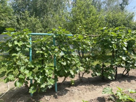 dom-snt-nadezhda фото