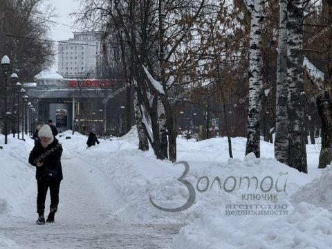 1-komnatnaya-ul-druzhaeva-d-7 фото